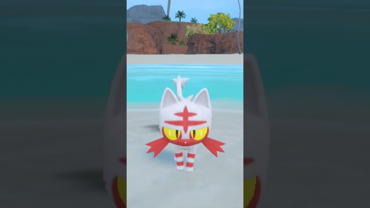 ニャビー Litten 色違い【ポケモンsv】