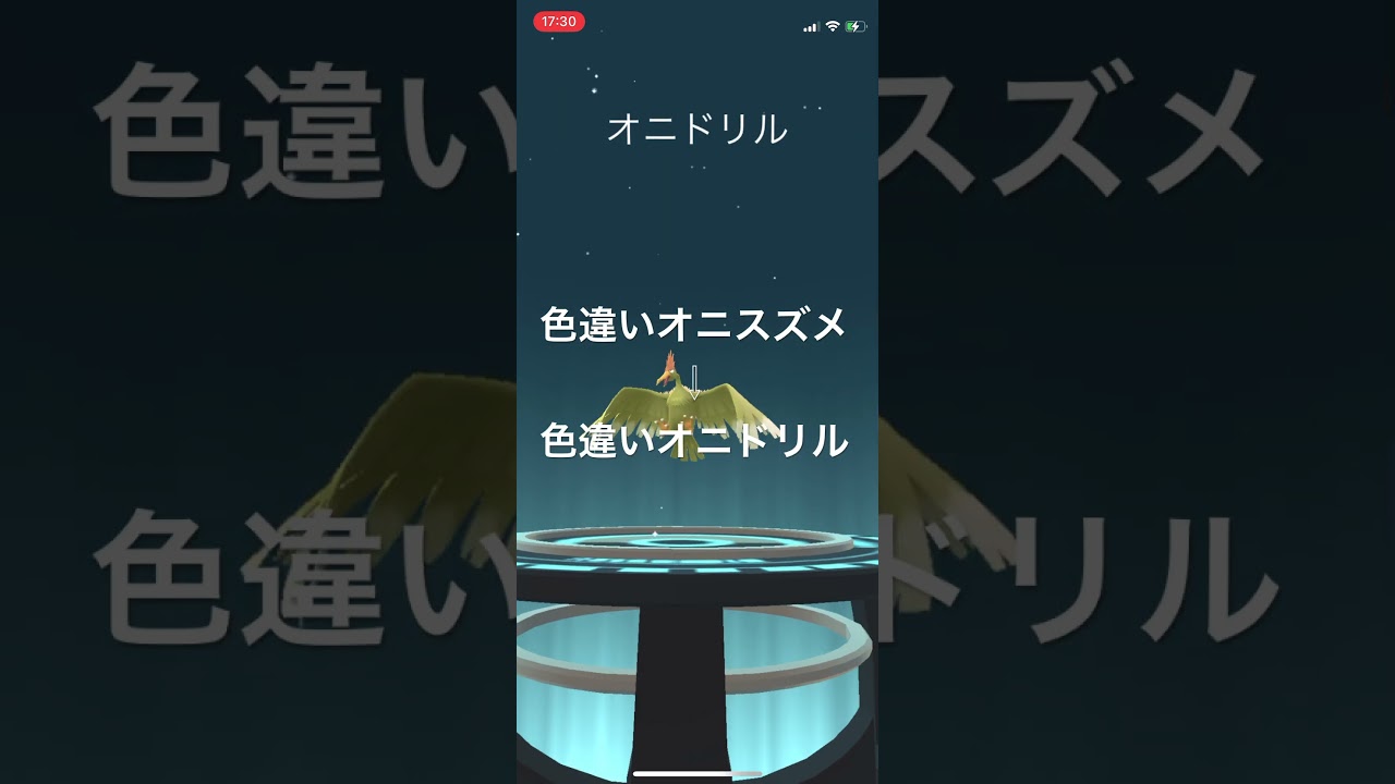 ポケモンGO 色違いオニスズメを色違いオニドリルへ進化！ #pokémon #ポケモン #ポケモンgo
