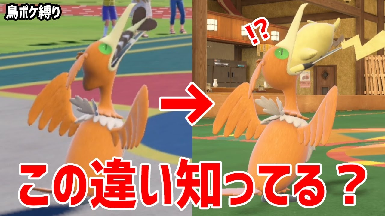 【鳥ポケモン縛り】レギュレーションHでも刺さる？！意外と知らないウッウの特性が強い！【ポケモンSV】鳥の爪団実況