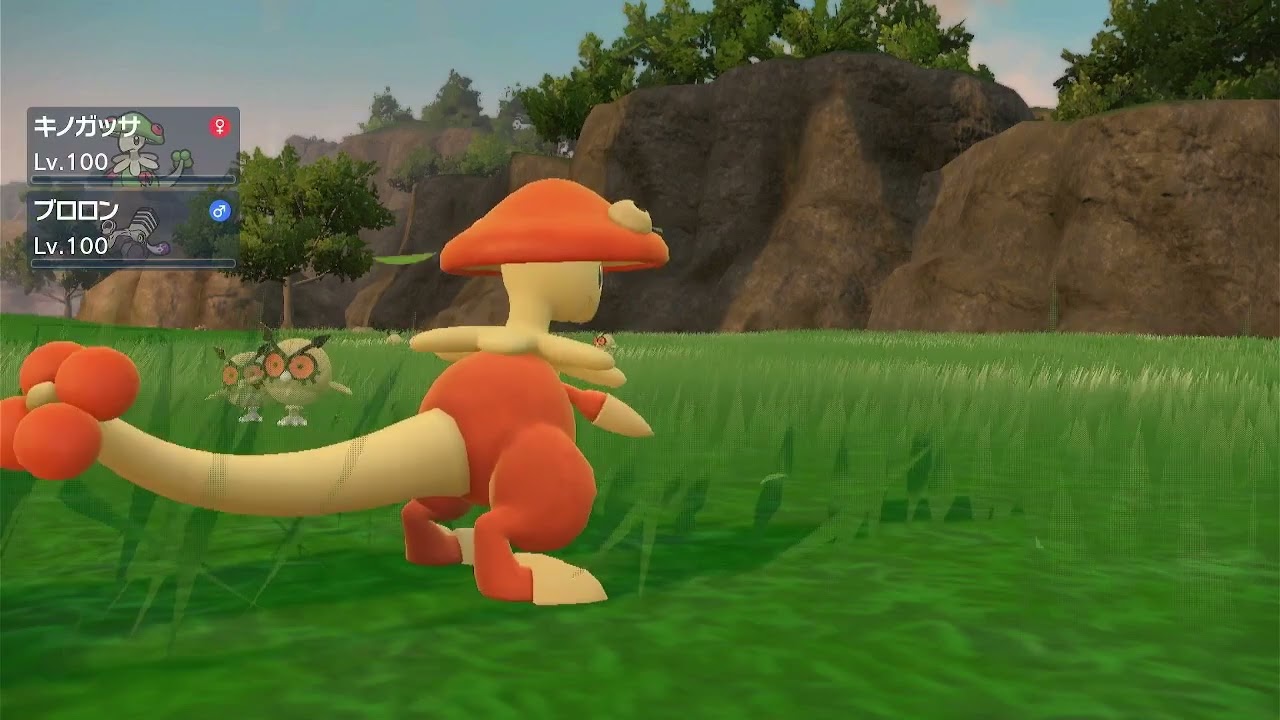 ホーホー色違い！