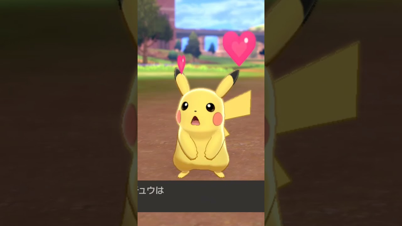 ピカチュウ♂ Pikachu【ポケモン剣盾】
