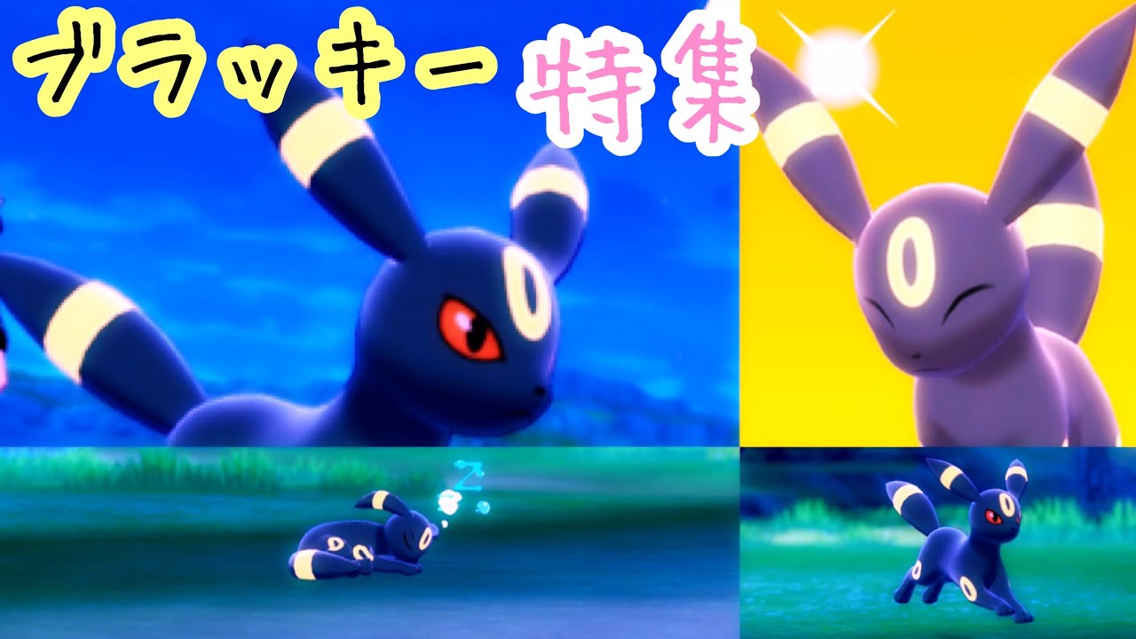 【ポケモンキャンプ#23】可愛い &カッコいいブラッキー特集！！