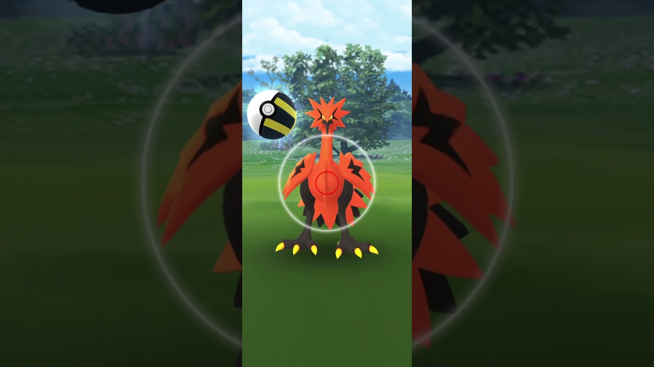 ガラルサンダー