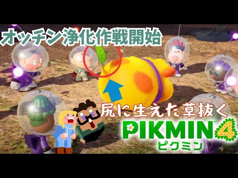 【ピクミン4】終！オッチンの尻を綺麗にする！【リスナーさんからの貢物】