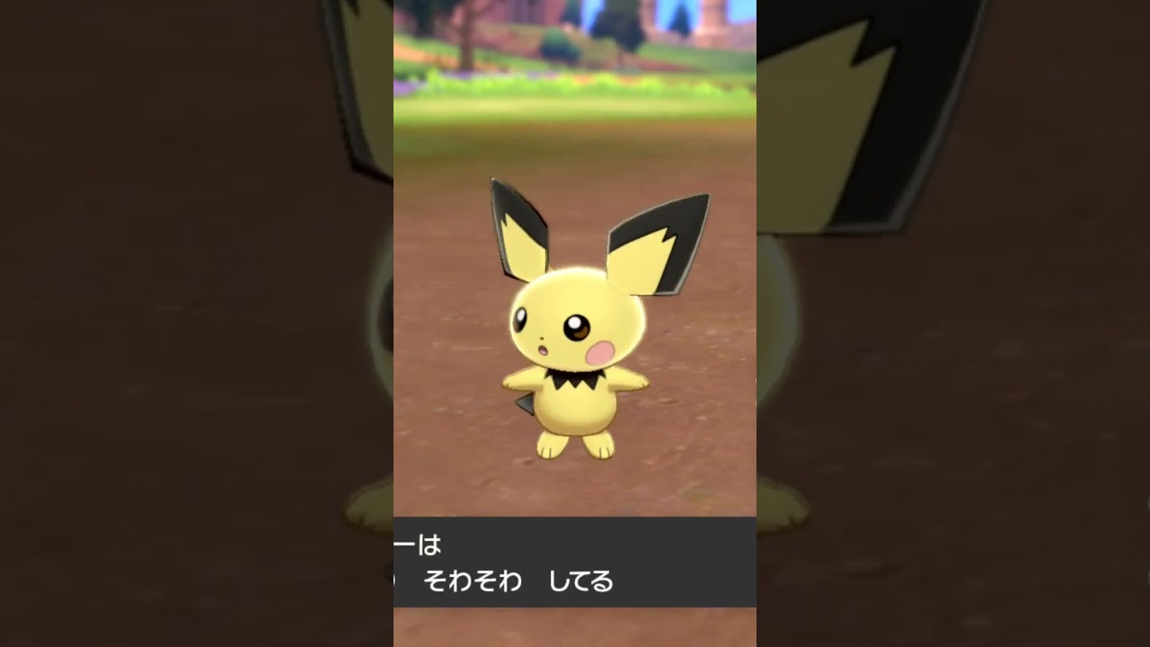 ピチュー Pichu【ポケモン剣盾】