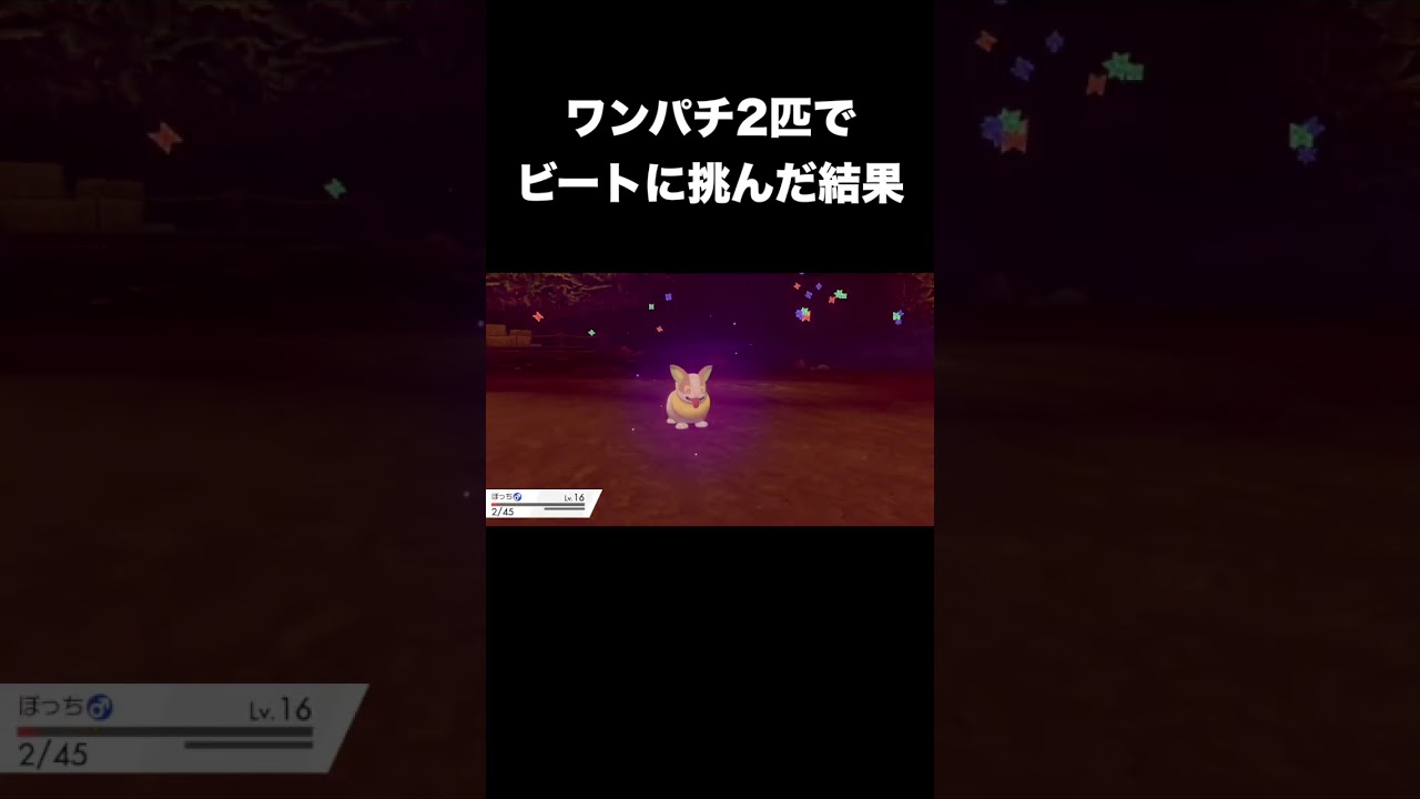 ワンパチ2匹でビートに挑んだ結果#shorts #ポケモン #ポケモン剣盾
