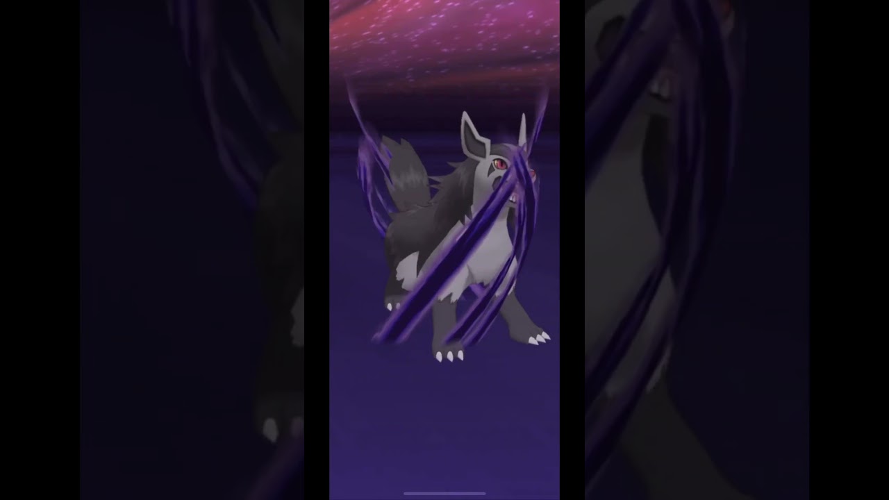 【ポケマス】トウヤ&グラエナ