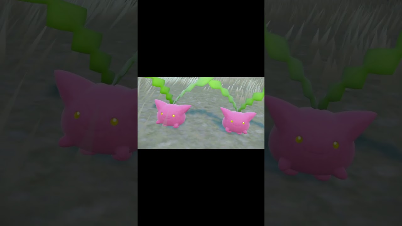 近づいてくる野生のハネッコ。　#shorts #ポケモンsv