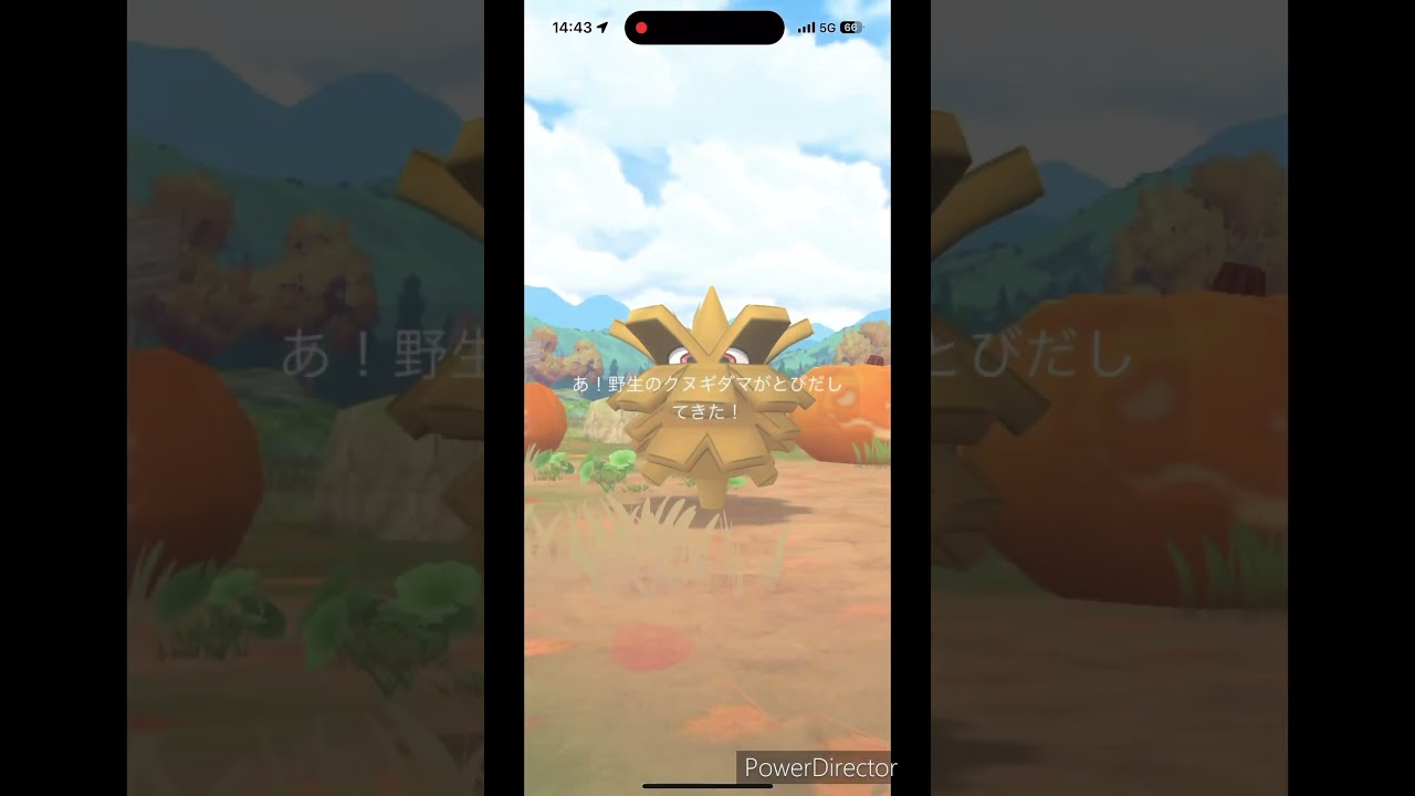 色違いクヌギダマ✨ #ポケモンgo #pokemon #ポケgo #ポケモン