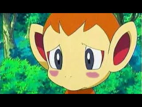 ポケモンGO ヒコザル ゲット！