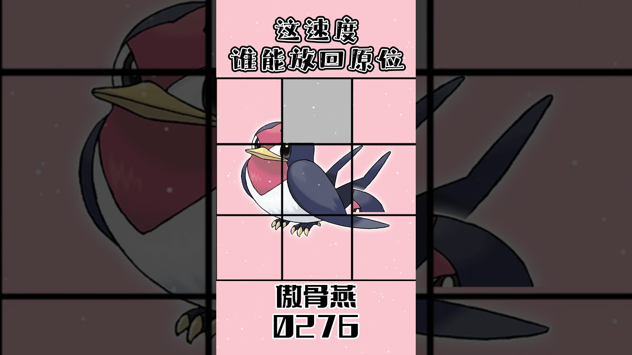 0276傲骨燕スバメTaillow #gaole #pokemon #寶可夢
