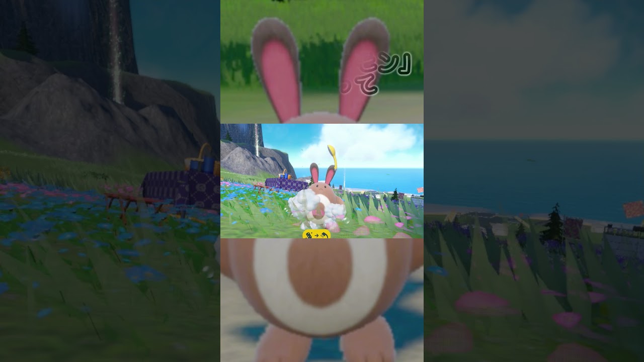 【疲れた人向け】オタチ6匹とピクニック【ポケモンSV】#Shorts