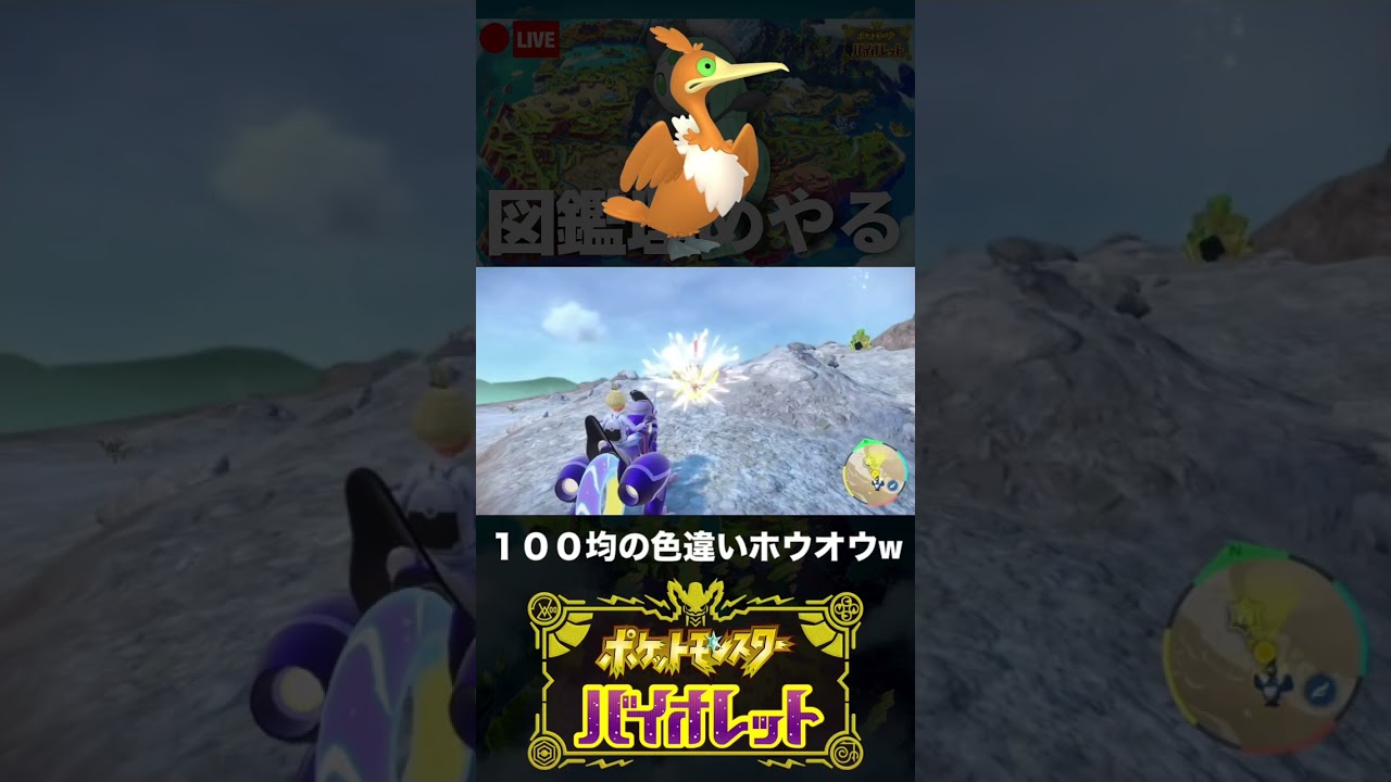 色違いウッウに出会えて嬉しいのに脳裏に100均のホウオウがチラつく男【ポケモンSV】 #shorts