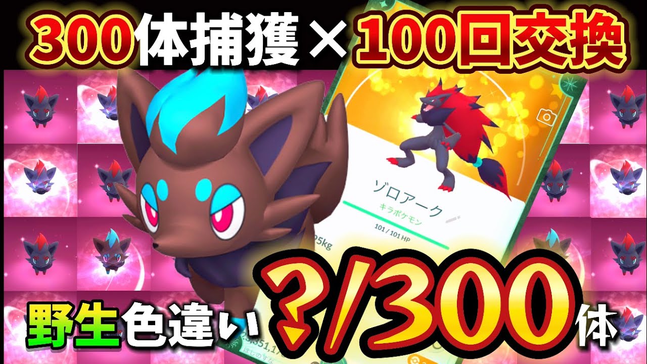 ゾロア色違い欲しさに300体捕獲したので100回交換する【ポケモンGO】