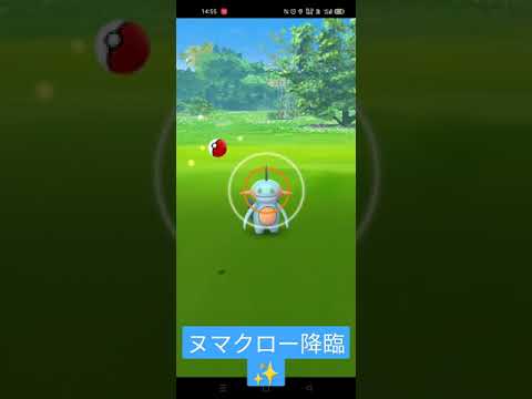 【ポケモンGO】遂に最推しのヌマクローと再開♡