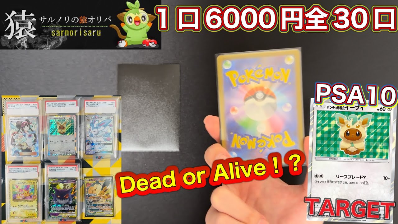 【ポケカ】ポンチョイーブイ・メイを狙え‼️X第13弾サルノリの猿オリパさんのポケモンカードオリパ開封しました🥹‪🔥
