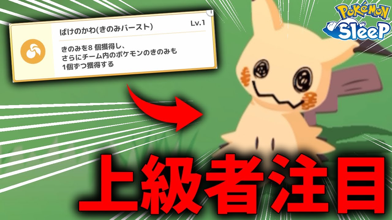 『新追加ミミッキュ』が上級者であればあるほど"使えるらしい"【ポケモンスリープ】
