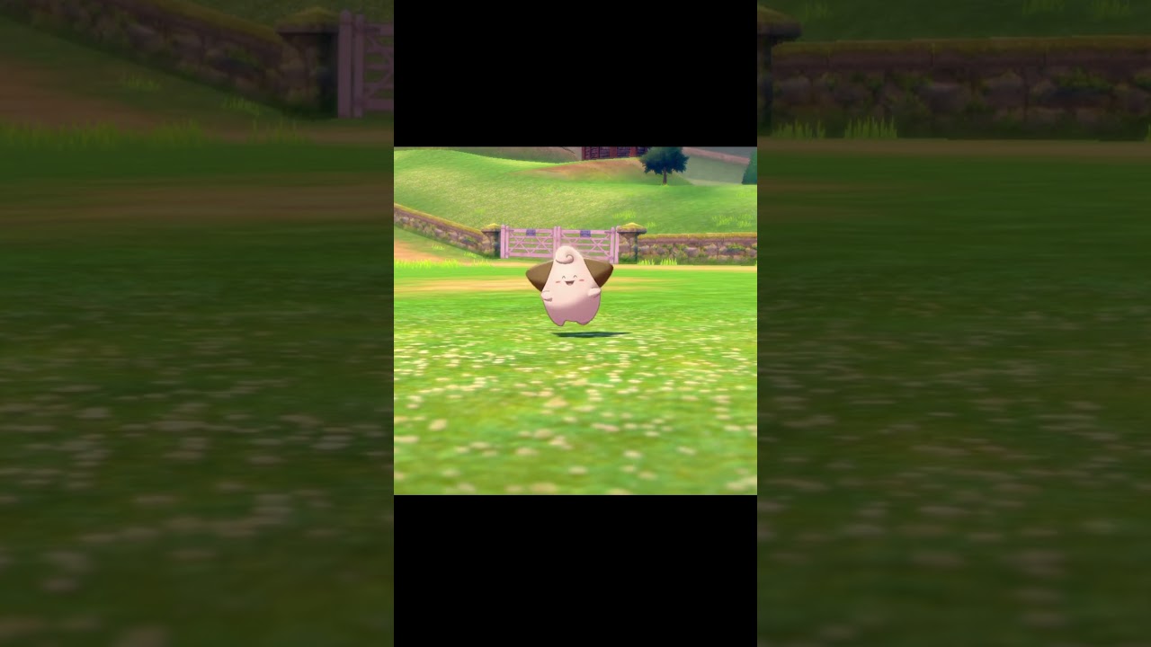 駆け寄ってくるピィ　#Shorts