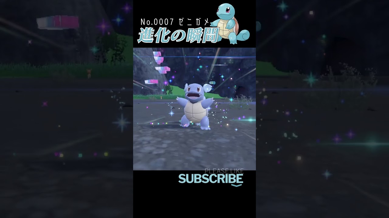 【藍の円盤】ゼニガメ 進化の瞬間 #shorts