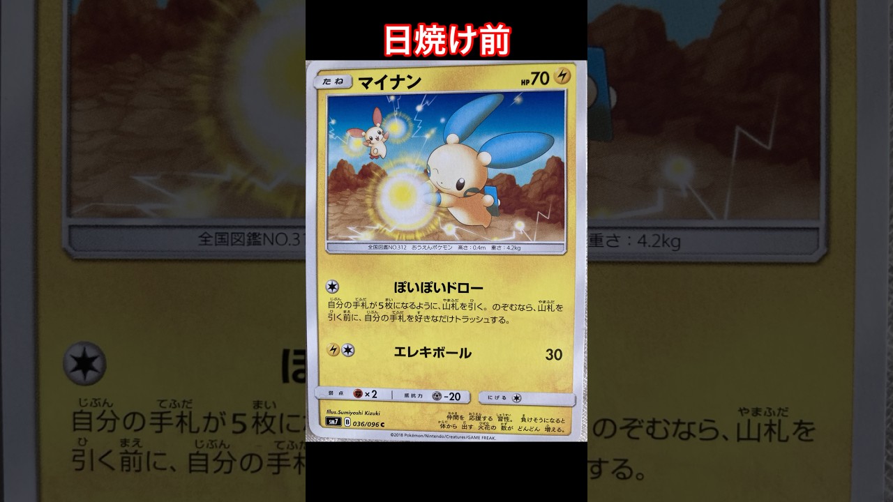 マイナンの日焼けポケカ #shorts #ポケカ #ポケモンカード