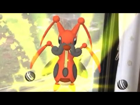 ポケモンGO  コロトック