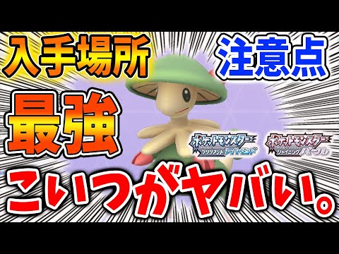 【ポケモン ダイパリメイク】今作ナンバーワンの最強ポケモン「キノガッサ」の入手方法・進化前のキノココはここに出現するぞ【メタモン/厳選/攻略/ブリリアントダイヤモンド・シャイニングパール／BDSP】