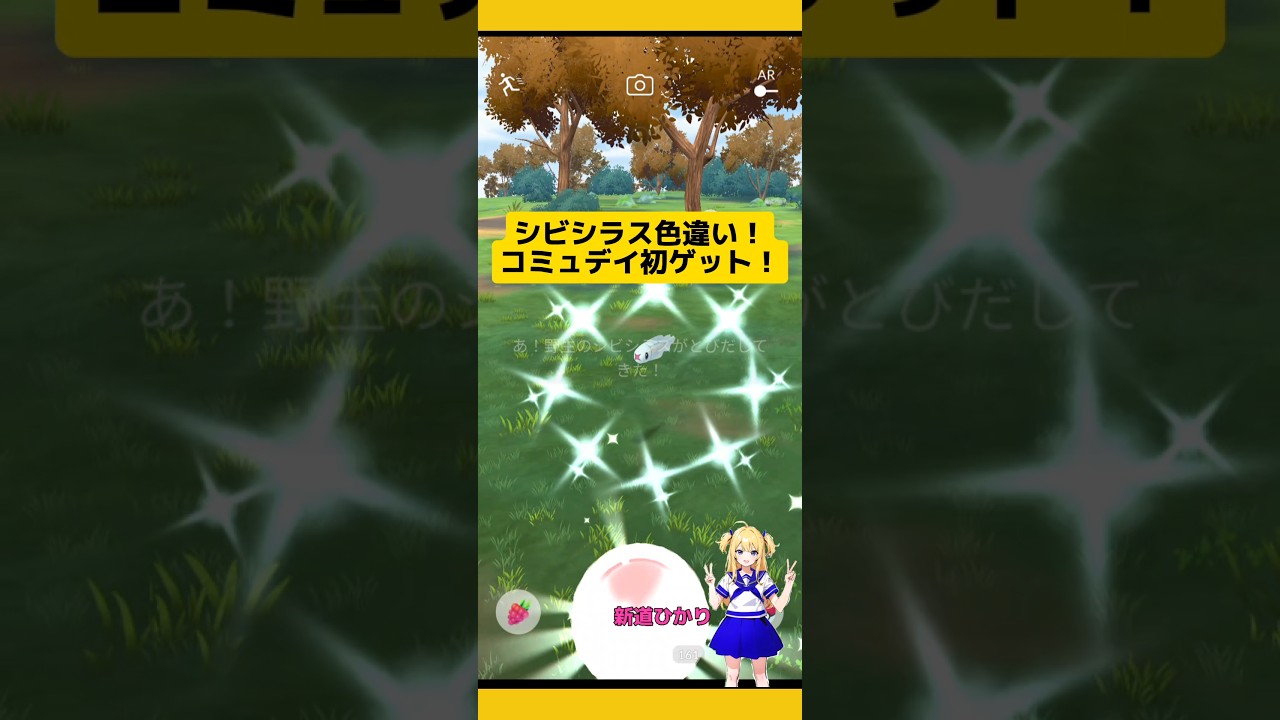 シビシラスコミュデイ色違いゲット！個体値は？#ポケモンgo #シビシラス#コミュニティデイ #色違い #pokemongo #新道ひかり