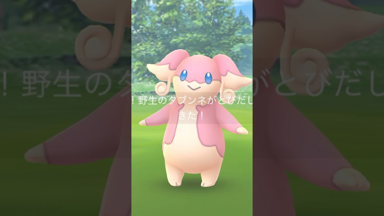 1匹で『ほしのすな』1万も！？近場のタブンネの巣へ急げ！【ポケモンGO】