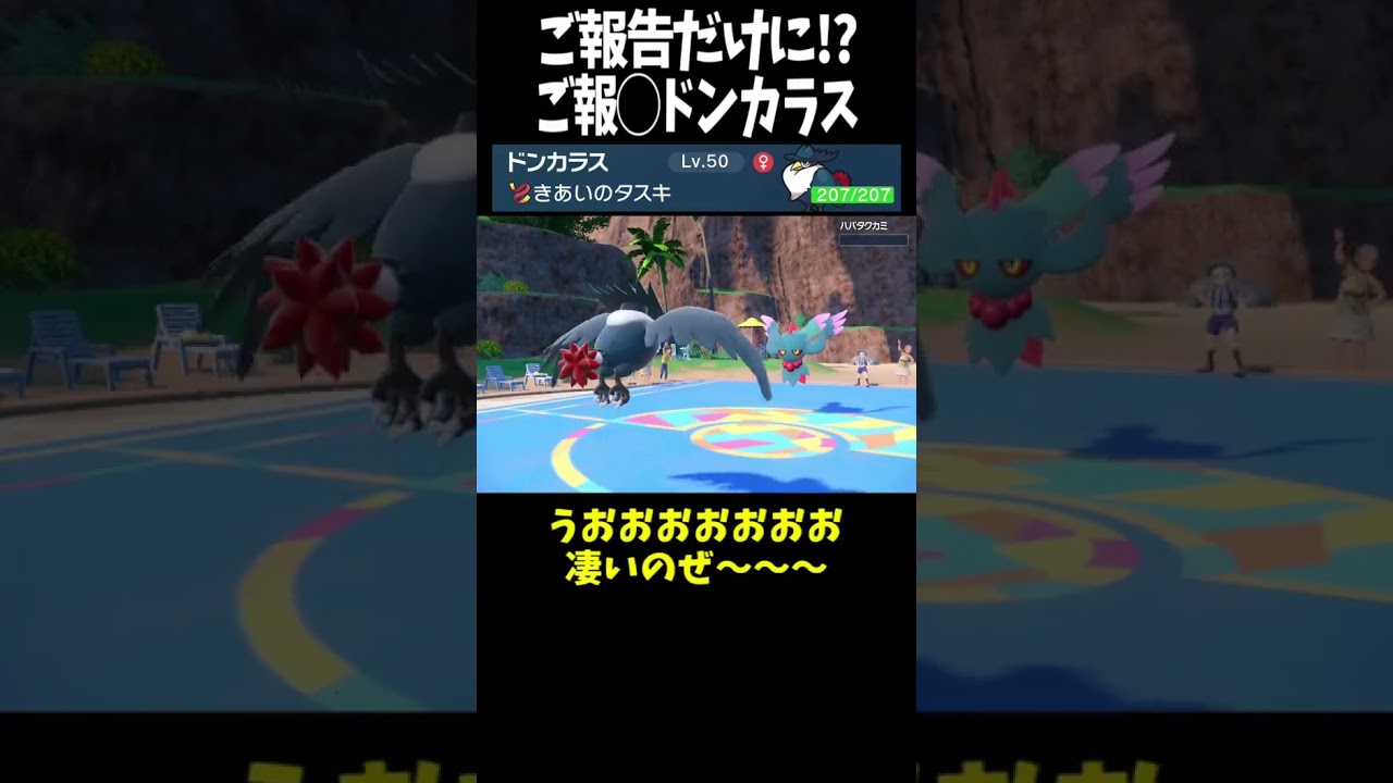 #Shorts ご報告だけに報◯ドンカラス #スカーレットバイオレット #ポケモン #ポケモンsv対戦