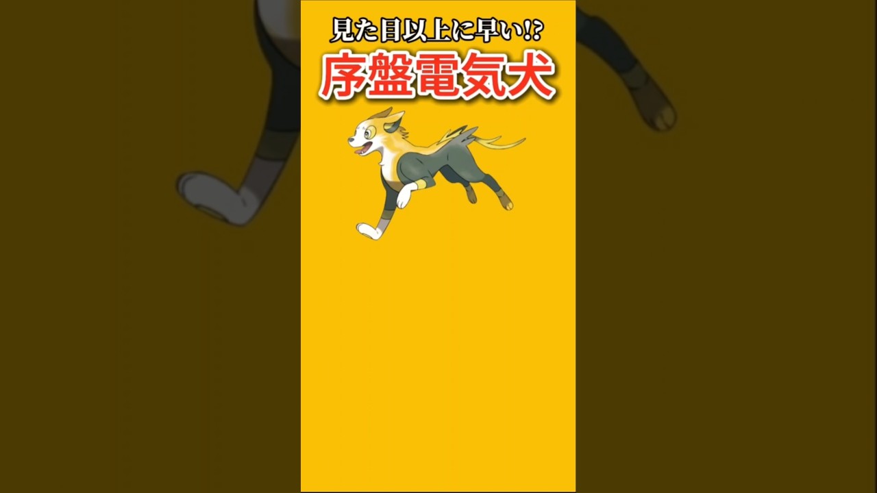 【ポケモン】見た目以上に早い序盤電気犬「パルスワン」【ポケモン解説員】#ポケモン剣盾#ソードシールド#ポケモン解説員