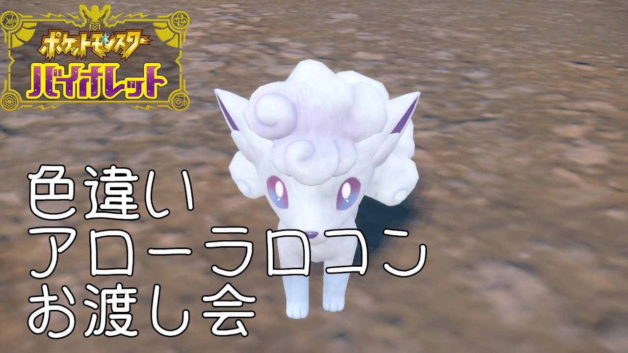 【ポケモンSV】色アローラロコンお渡し会！アロコン難民あつまれ！