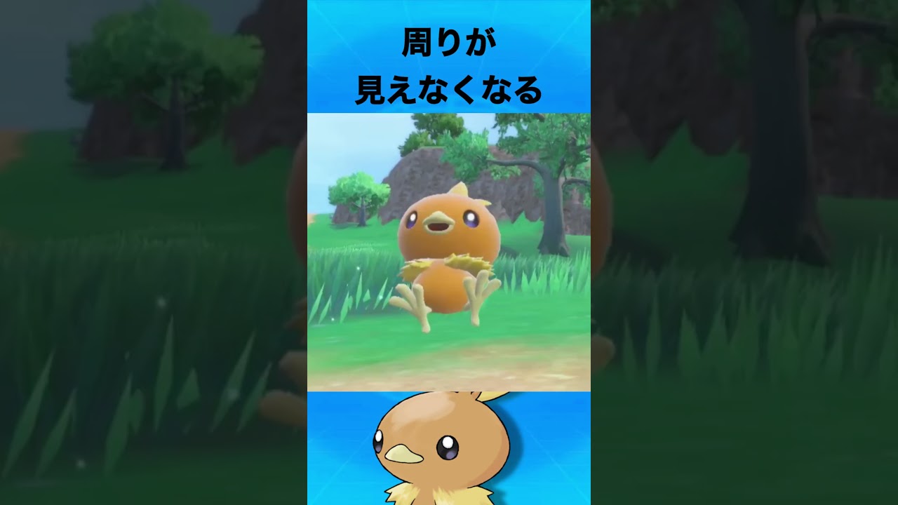 アチャモについて #ポケモン #アチャモ #御三家