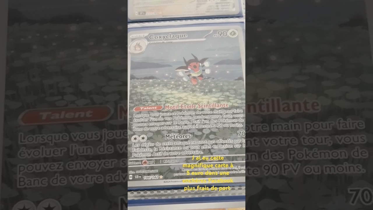 Pépite coxyclaque ar pour 5 euros plus frais de port