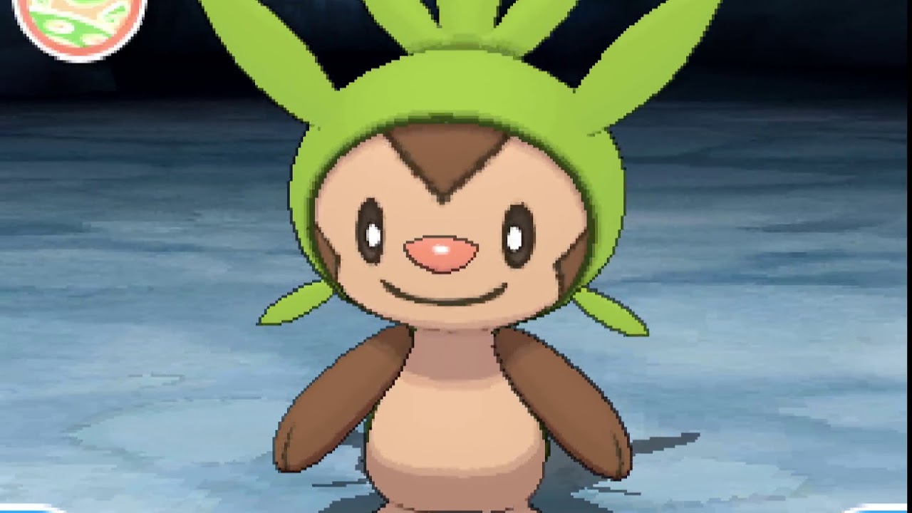 ポケリフレ　ハリマロンと戯れるだけの動画