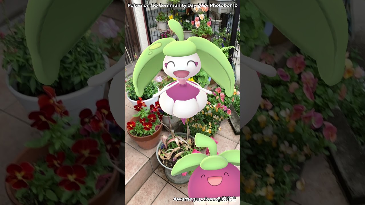 アマカジ｜Bounsweet｜アママイコ｜Steenee｜アマージョ｜Tsareena【ポケモンGO】PoKeMoN GO AR｜AR動画｜GOsnapshot｜gophotobomb