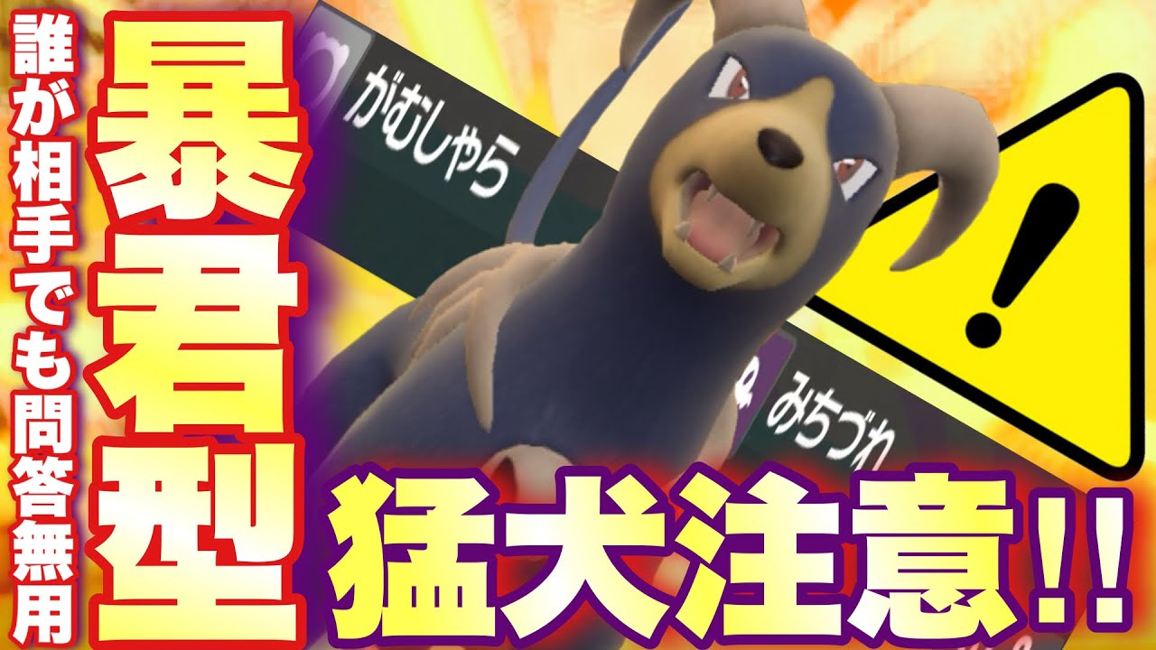 【 漆黒猛 】見かけたら要警戒⚠️非道な戦術で勝利を招く〇〇型ヘルガーめっちゃヤバいんで見てください【 ポケモンsv 】