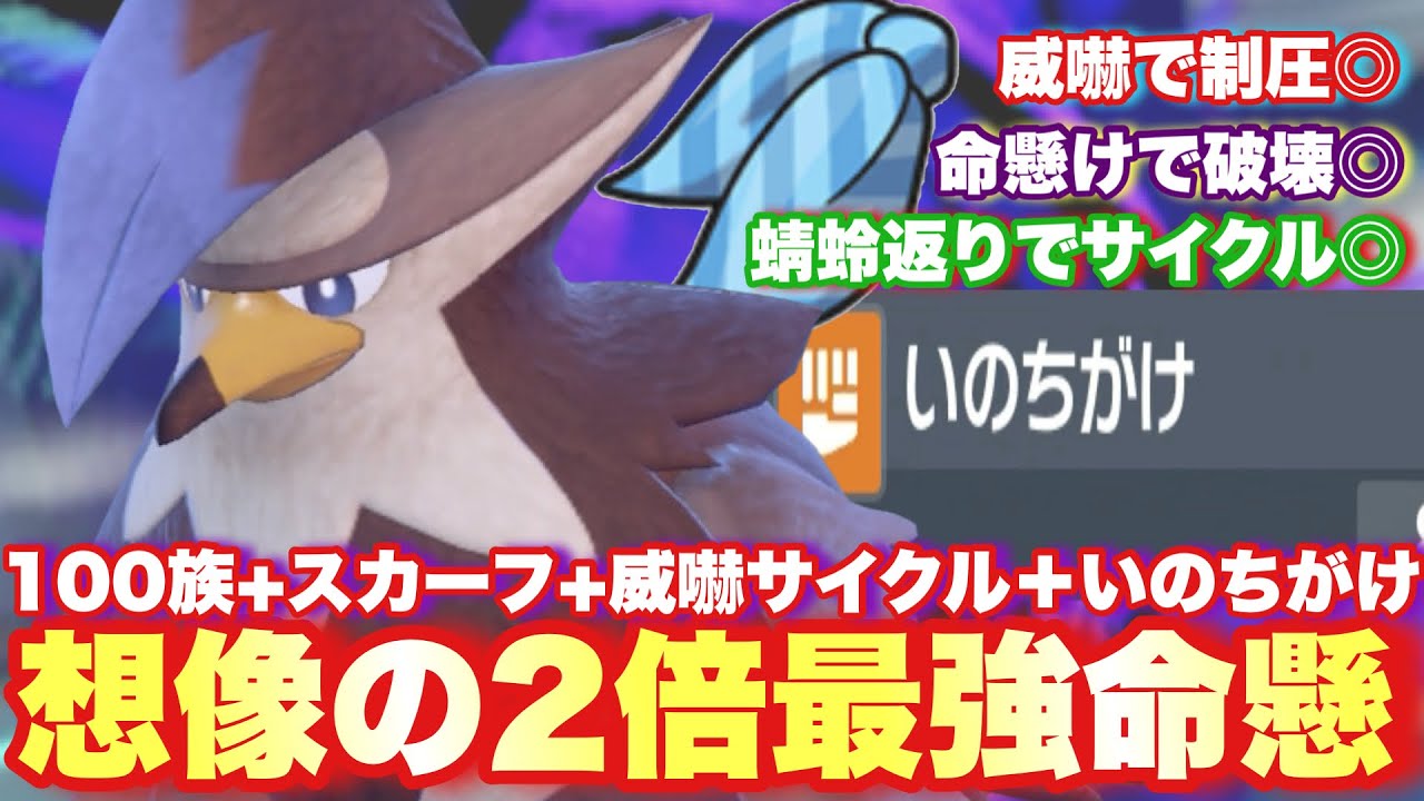 【 命懸闘 】まって、ムクホーク強いじゃないか！命懸け+威嚇サイクル適正◎でどんな相手にも隙を見せないこの型ヤバすぎます…。【 ポケモンsv 】