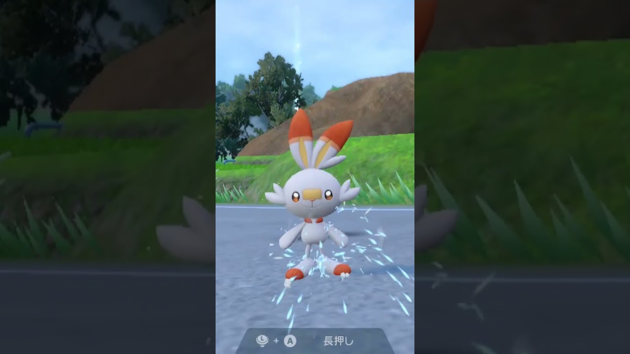 ヒバニー Scorbunny【ポケモンsv】