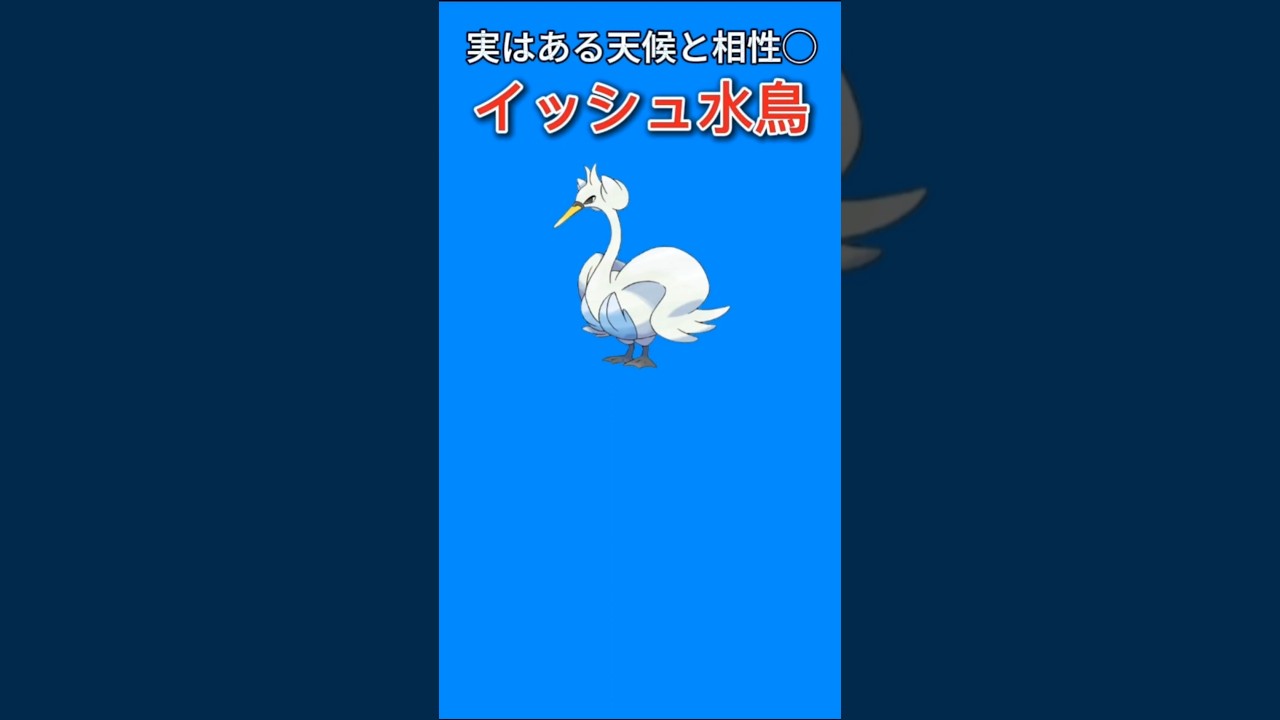 【ポケモン】ある天候と相性バツグンのイッシュ水鳥「スワンナ」【ポケモン解説員】#ポケモンBW#ポケモン解説員