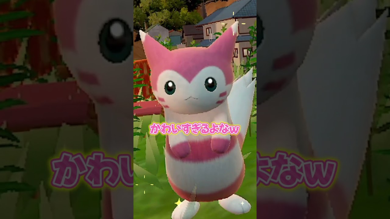 色違いオオタチの眠った顔が愛おしい...【ポケモンSV】【色違いオオタチ】