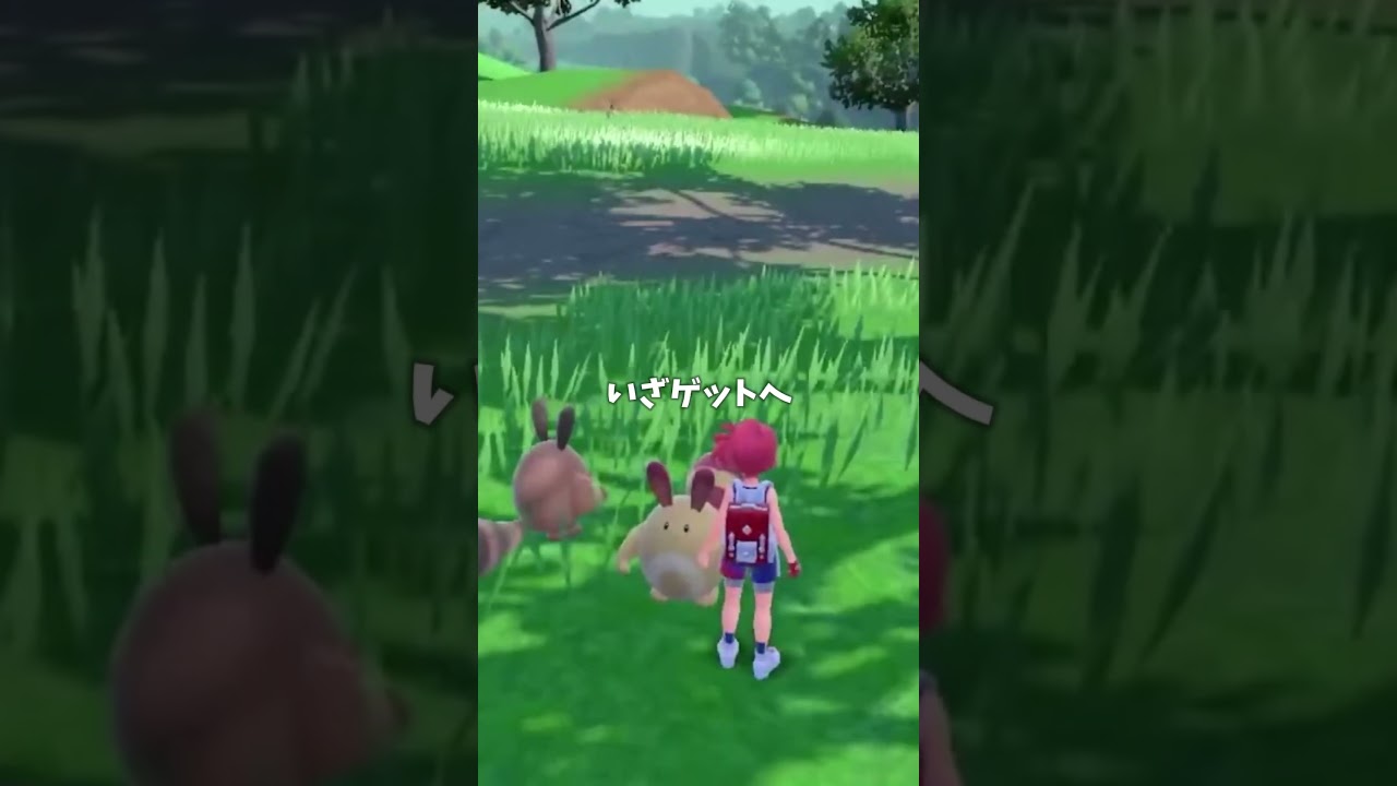 オタチの色証厳選  #ポケモンsv