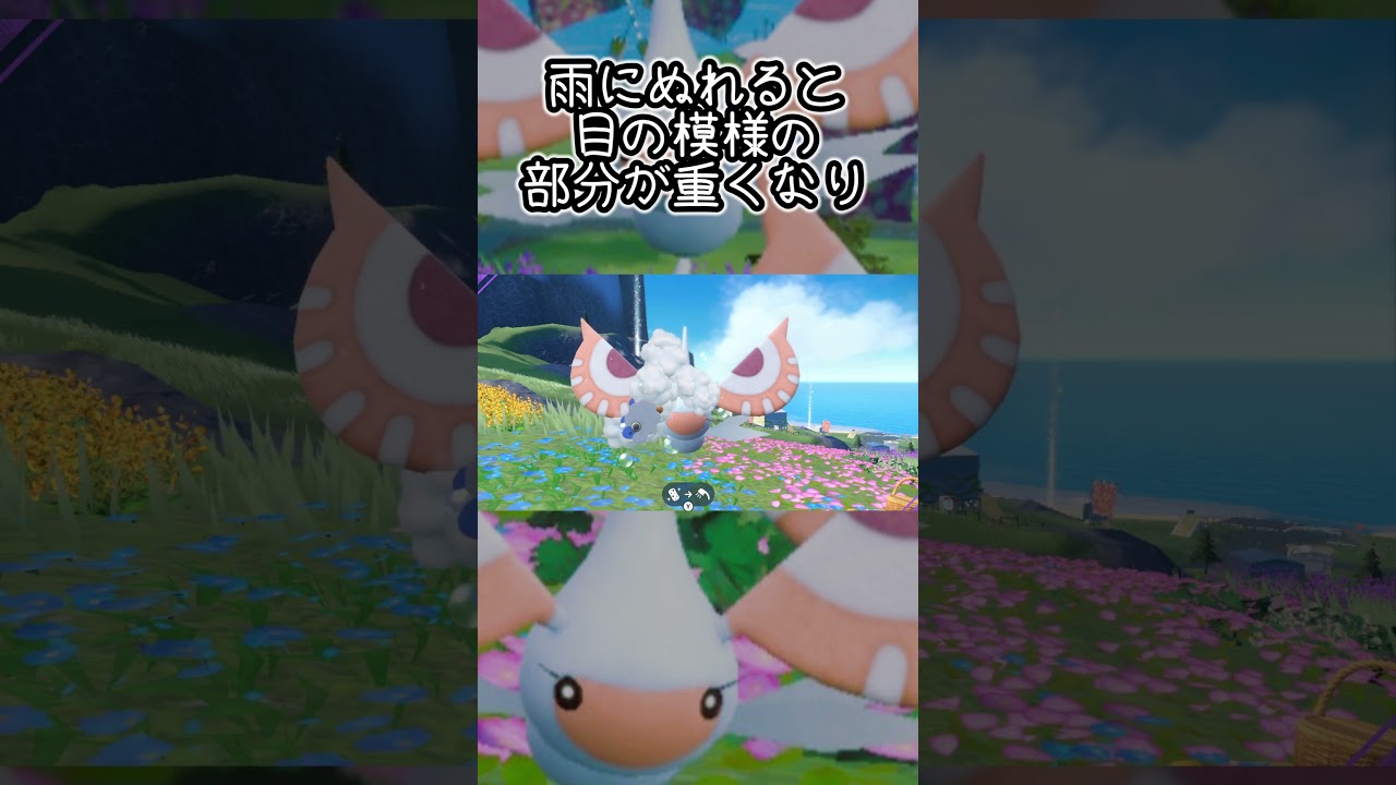 アメモース6匹とピクニック【ポケモンSV】#Shorts