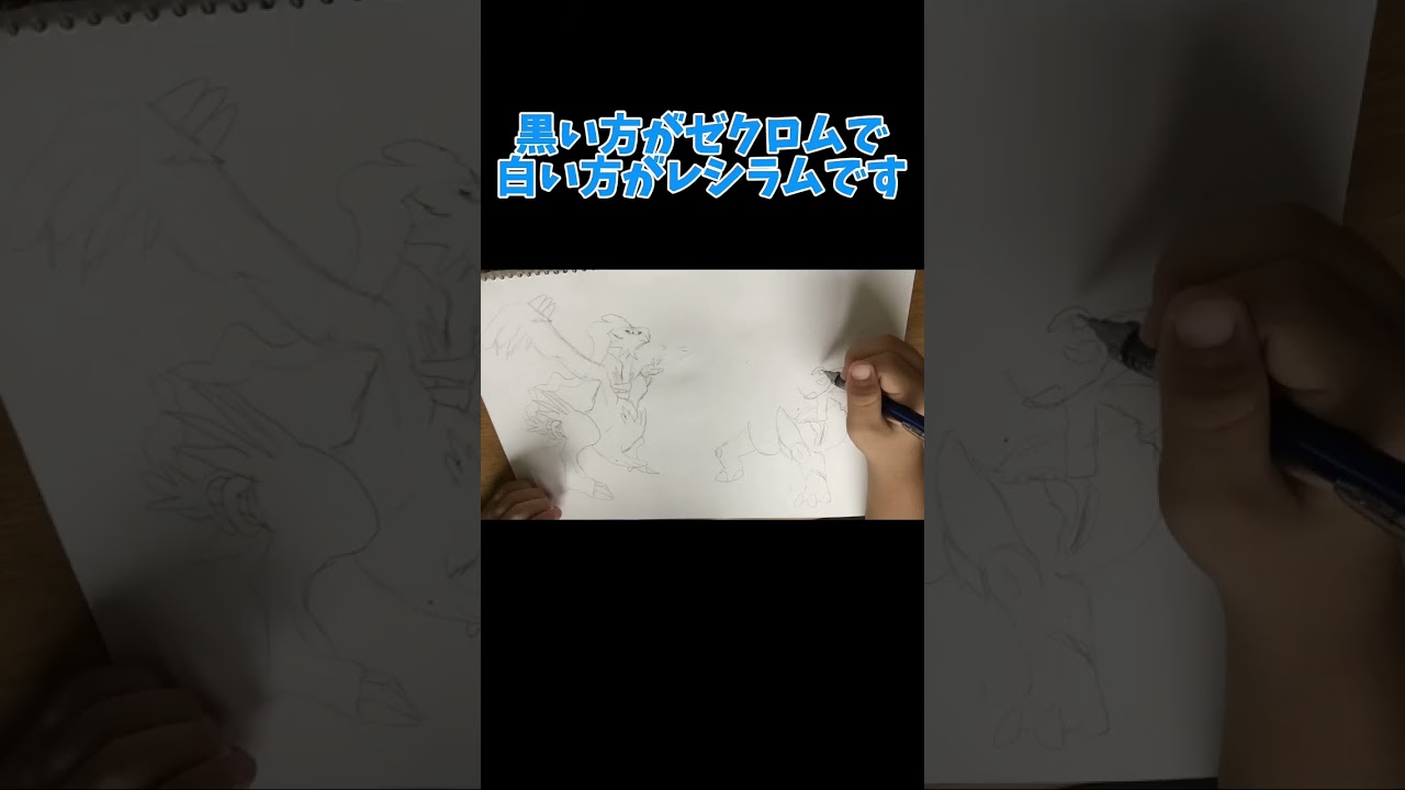レシラムとゼクロムを書いてみた！　#ポケモン  #お絵描きチャレンジ  #小学生
