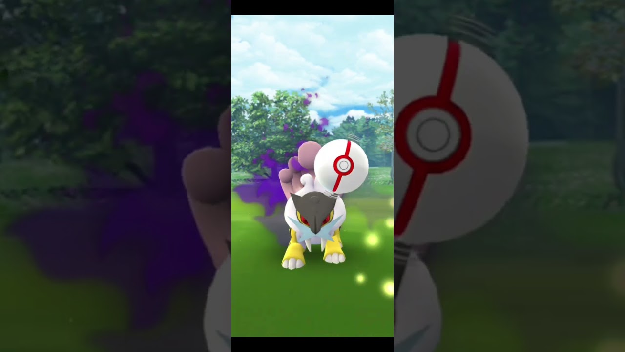 シャドウライコウ逃がしてしまったー #ポケモンGO #ライコウ #ポケモン