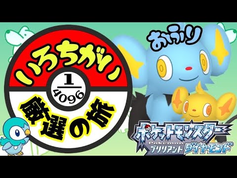 【色違いポケモン縛り】おいコリンクそろそろでてもいいんでないか？　#shorts ふ