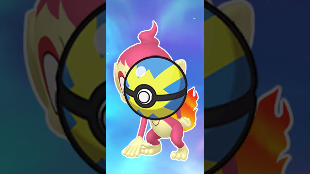 【オシャボ】色違いヒコザルみんなは何ボールに入れる？#shorts #ポケモンsv #ポケモンsv色違い #pokémon