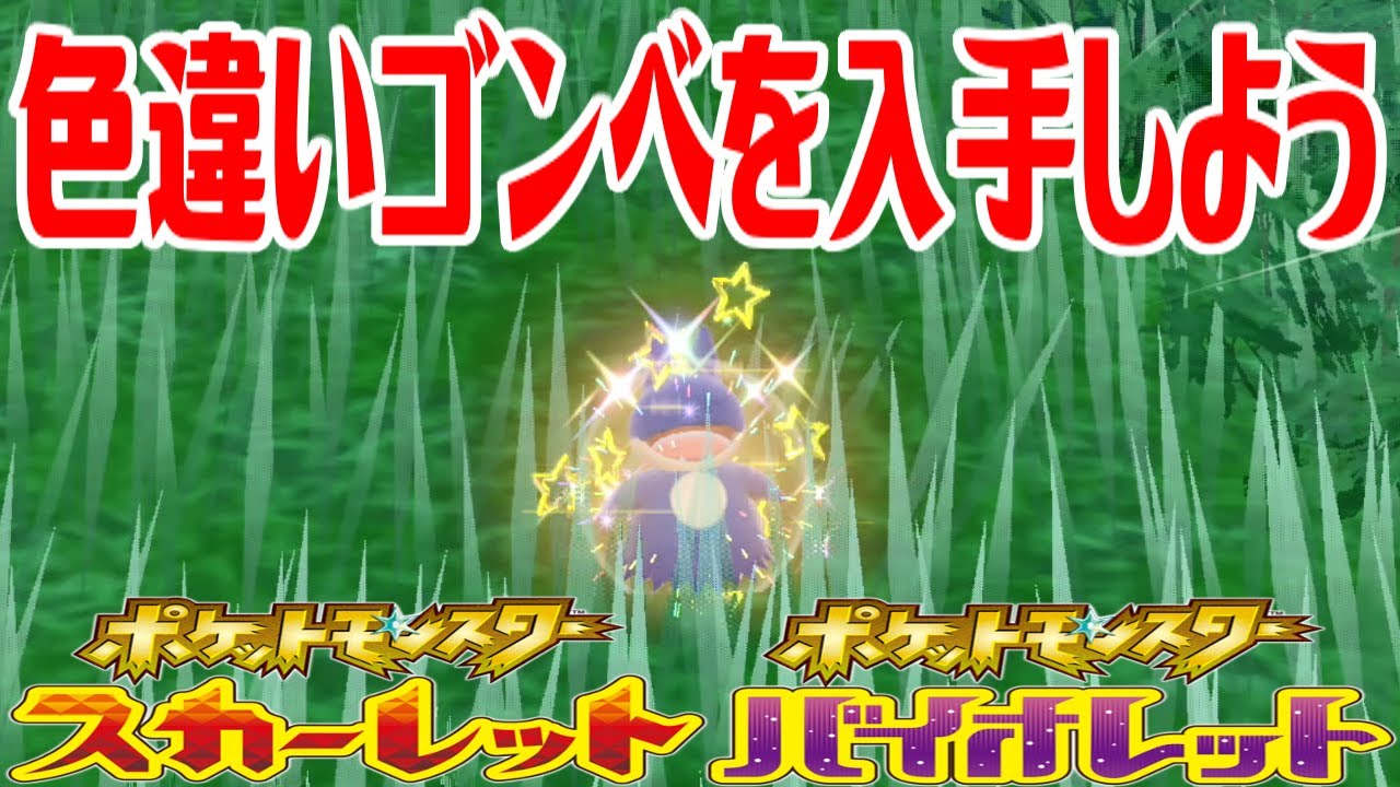 【ポケモンSV】色違いゴンベを入手しよう【ポケットモンスター スカーレット・バイオレット ゼロの秘宝 碧の仮面】Pocket Monsters