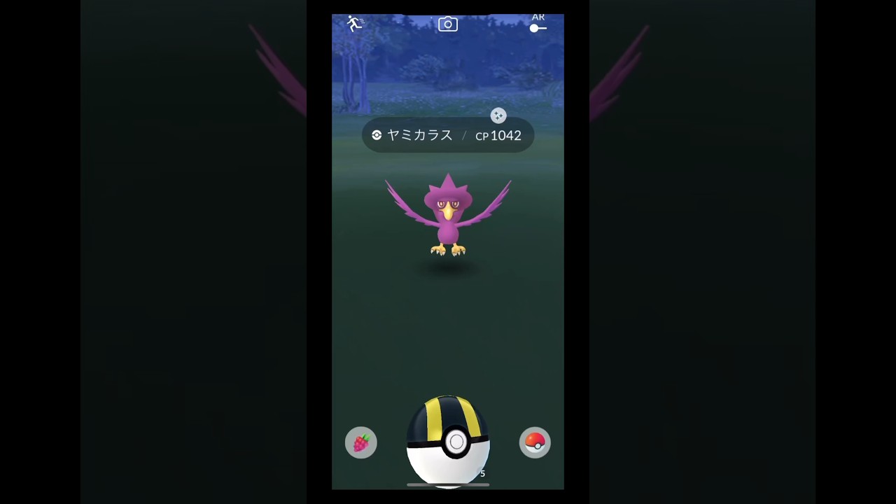 ヤミカラス色違い　#shorts #pokemongo #pokemon #ポケモン　#ポケモンgo #色違い　#ヤミカラス　#ヤミカラス色違い