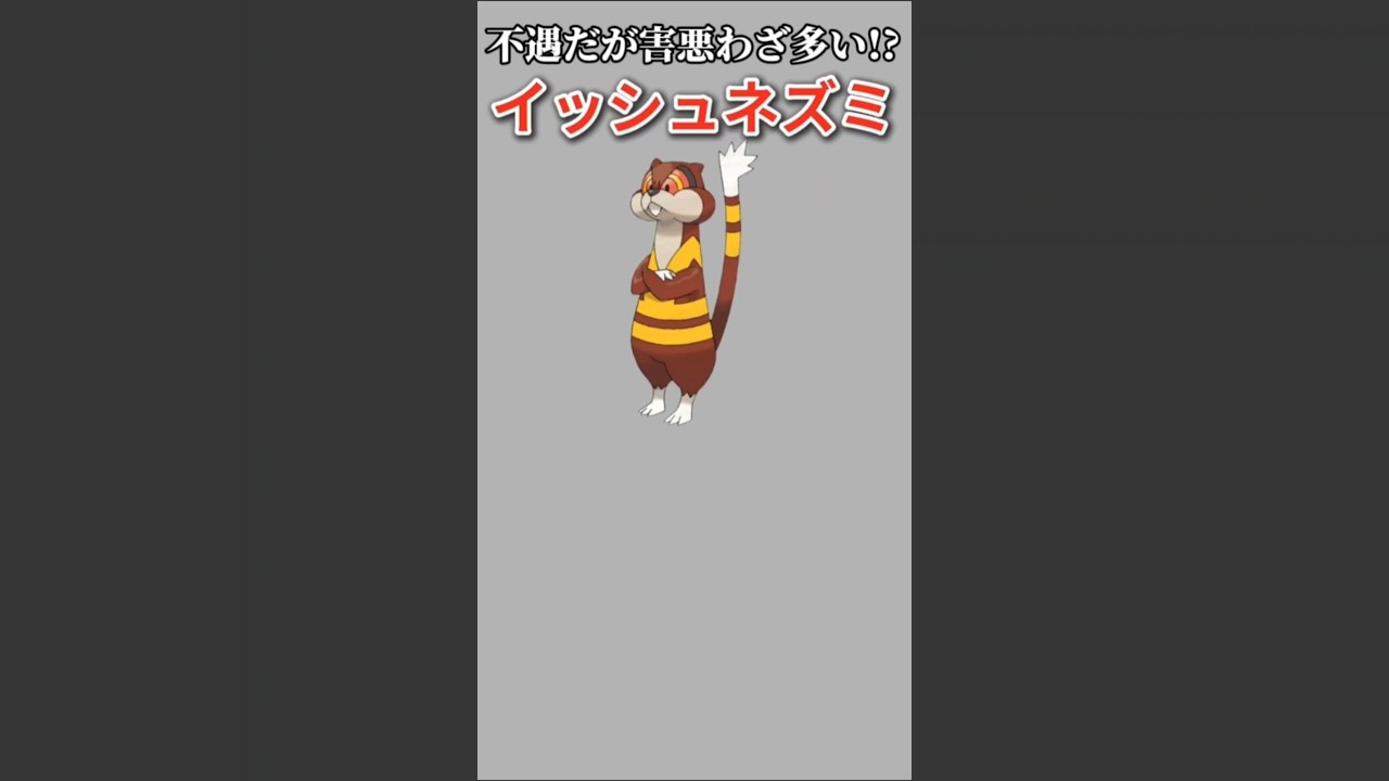 【ポケモン】不遇だが害悪わざ多いイッシュネズミ「ミルホッグ」【ポケモン解説員】#ポケモンBW#ポケモン解説員