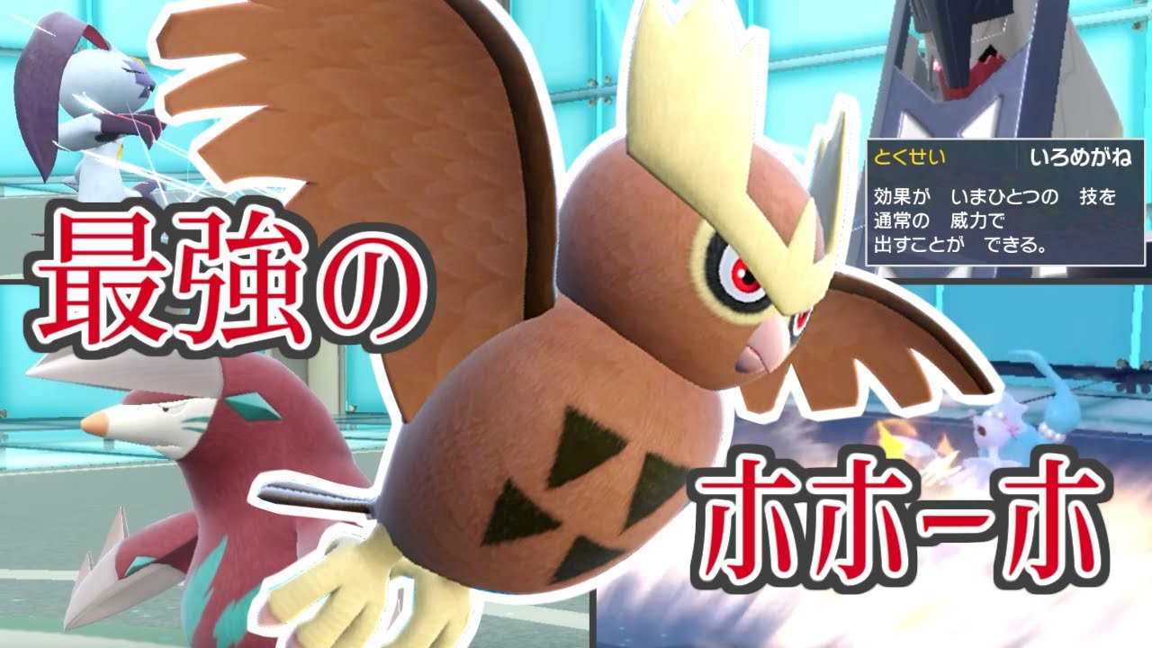 【レギュH】破壊力抜群！いろめがね「ヨルノズク」【ポケモンSV】